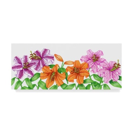 Kimura Designs 'Floral Lilies' Canvas Art,20x47